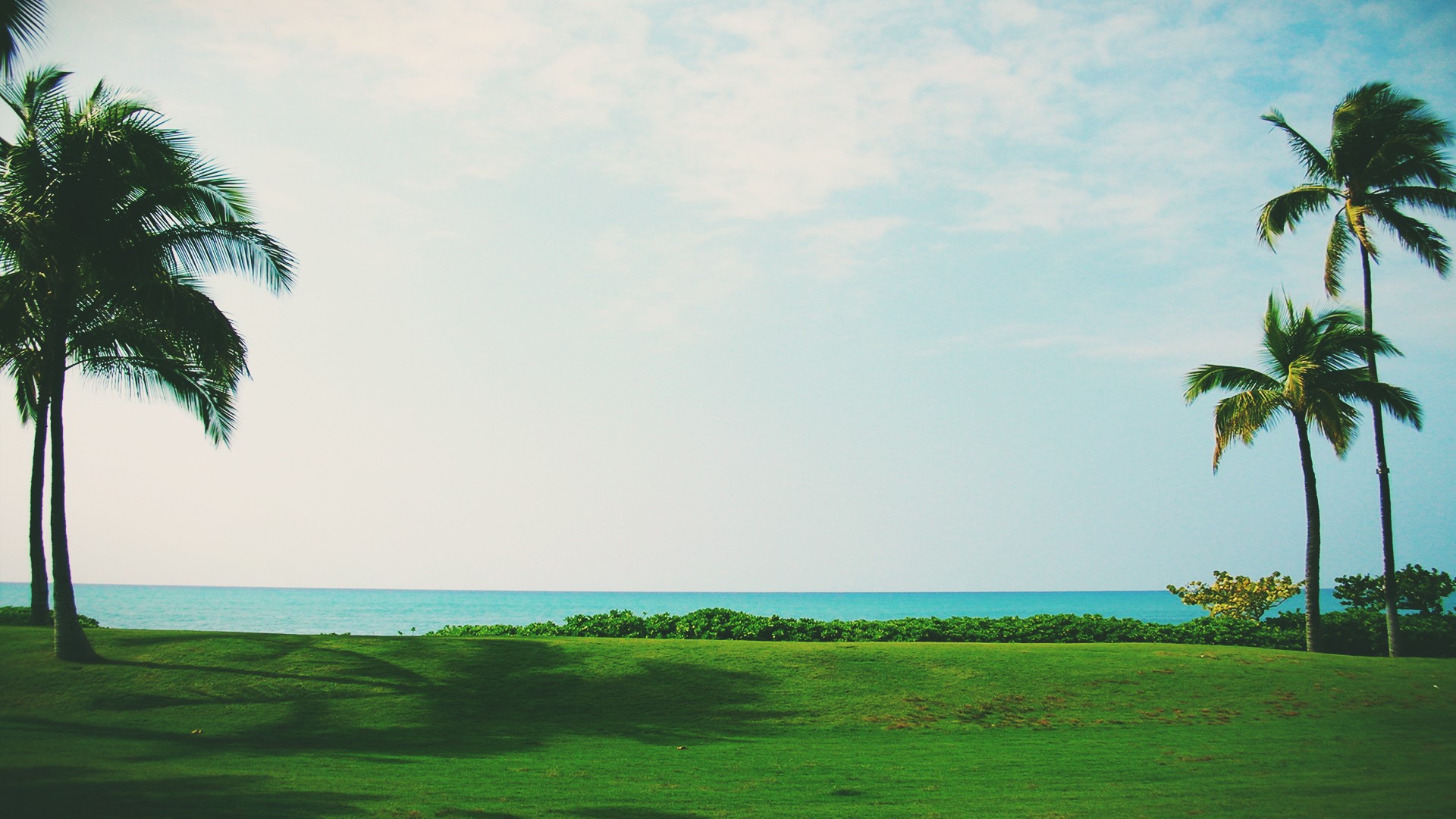 高阶 RxJs 映射运算符综合指南：switchMap、mergeMap、concatMap（和 excludeMap）【译】